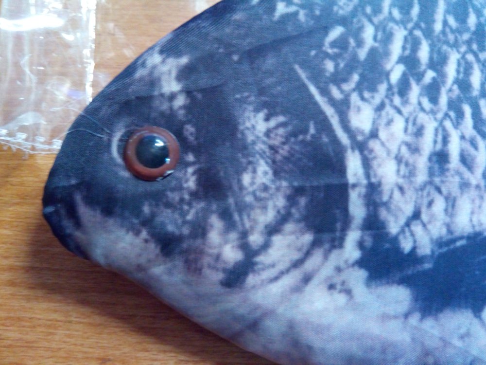 Aliexpress: Рыба-пенал или офисное трололо