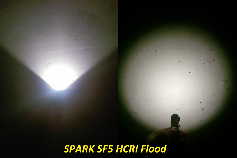 SPARK-SF5-HCRI-review-011