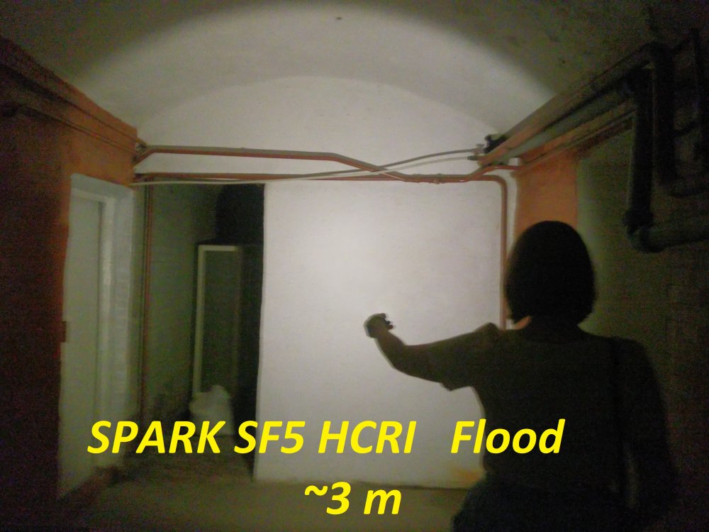 SPARK-SF5-HCRI-review-012